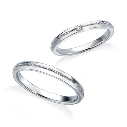 【中井脩】ロイヤルアッシャー【鳥取県のセレクトショップ】