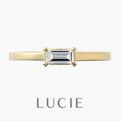 【BROOCH(ブローチ)】パレ（薔薇の宮殿）