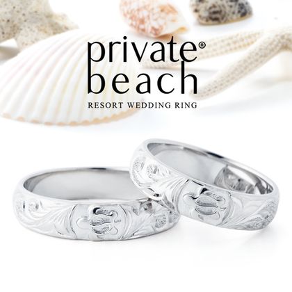 【BROOCH(ブローチ)】HONU 【海亀】