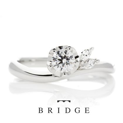 【BROOCH(ブローチ)】Winter Camellia 運命の花