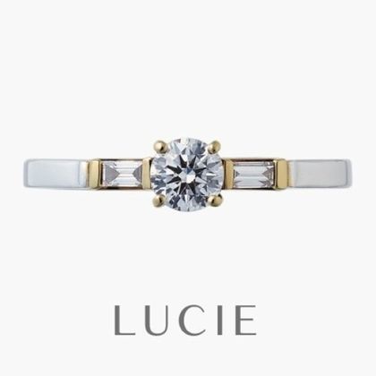 【BROOCH(ブローチ)】アルク (薔薇の橋)