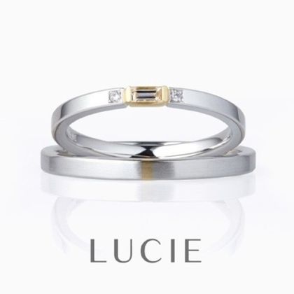 【BROOCH(ブローチ)】アルク（薔薇の橋）