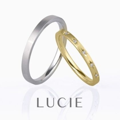 【BROOCH(ブローチ)】パレ（薔薇の宮殿）