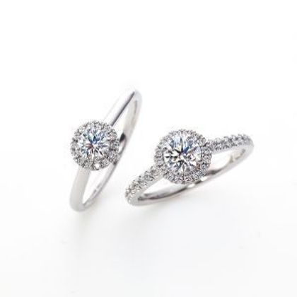 【一真堂】ヴェリタス