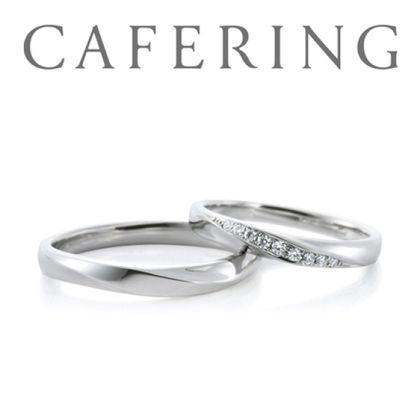 【一真堂】ウィ