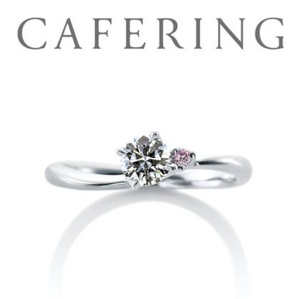 【一真堂】ローズヒップ