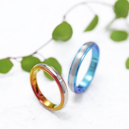 【一真堂】ドーム