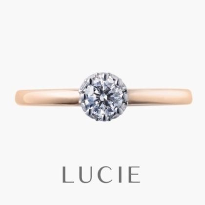 【一真堂】ブランシュ（薔薇の梢）