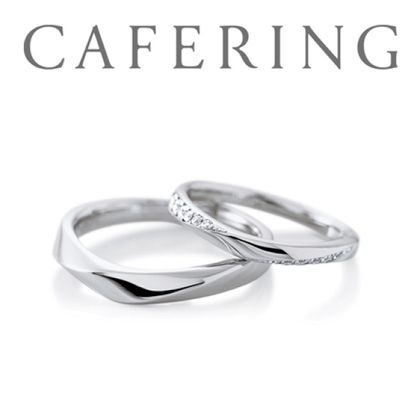 【一真堂】ノエル