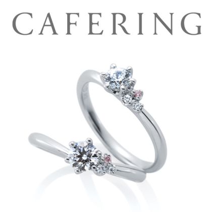 【一真堂】ジャルダンドゥロゼ