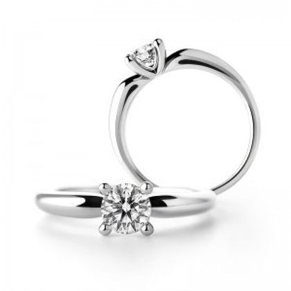 【一真堂】シャーロット