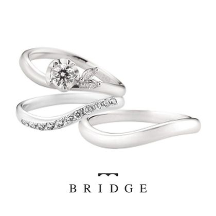 【VANillA(ヴァニラ)】【 WINTER CAMELLIA & MORNING WAVE 】 運命の花 & つむぎ