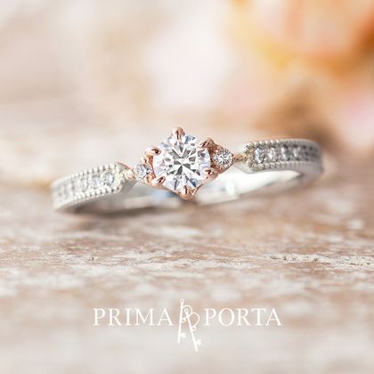 【VANillA(ヴァニラ)】【 Aria 】 アリア