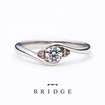 【VANillA(ヴァニラ)】【 Rose Garden 】 薔薇のアーチ