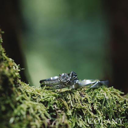 【tamaya BRIDAL(宝石の玉屋)】IN OUR WISH～Ｏｐｕｓ2