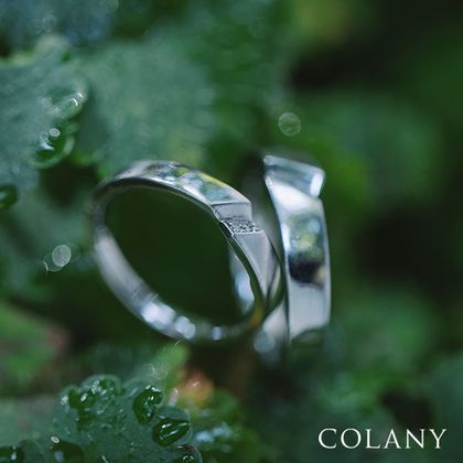 【tamaya BRIDAL(宝石の玉屋)】シラカシ