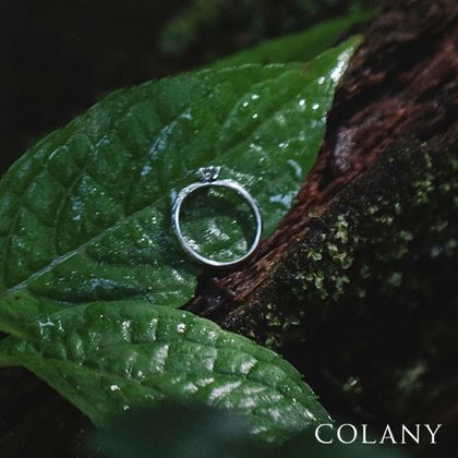 【tamaya BRIDAL(宝石の玉屋)】ヒマワリ