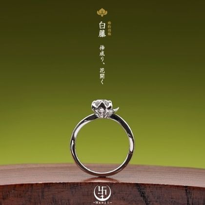 【JEWEL SEVEN BRIDAL(ジュエルセブンブライダル)】白藤