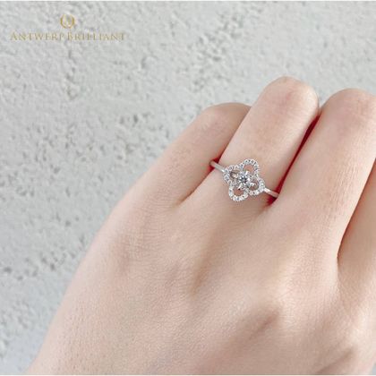 【BRIDGE ANTWERP BRILLIANT GALLERY(ブリッジ・アントワープ・ブリリアント・ギャラリー)】Grand-Place グランプラス