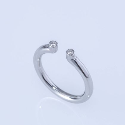 【ENEY(エネイ)】TWO PT900 DOUBLE MELEE RING