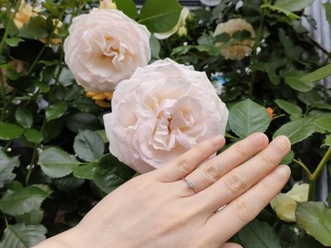 【和光ブライダルブティックギンザの口コミ】 とにかく着け心地がいいです。
ダイヤモンドを目立たせるために、アームが…