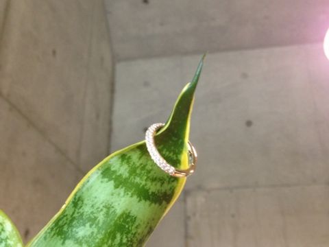 【Ponte Vecchio(ポンテヴェキオ)の口コミ】 婚約指輪といえば立て爪の指輪を連想し、あまり欲しいと思っていませんで…