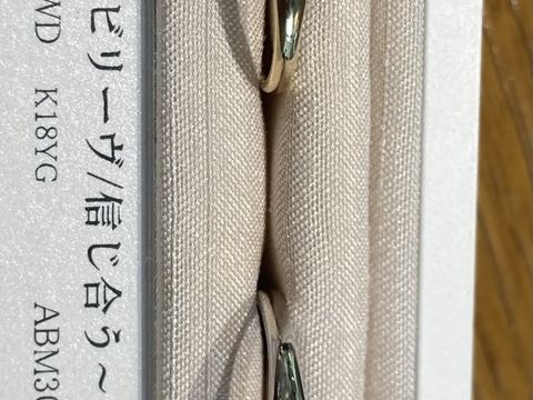 【AileBlanche(エールブランシェ)の口コミ】 価格が予算内だったので検討しました。シンプルながら光沢のあるゴールド…