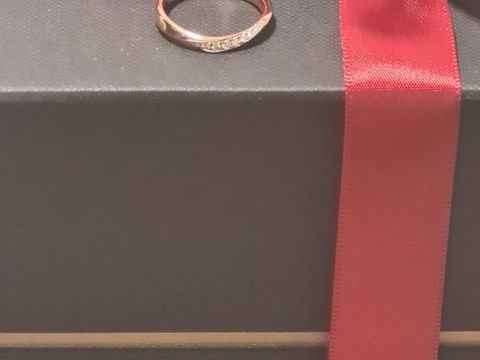 【ラザール ダイヤモンド(LAZARE DIAMOND)の口コミ】 指輪のデザインは緩やかな流線形となっておりダイヤが11個入っています。…