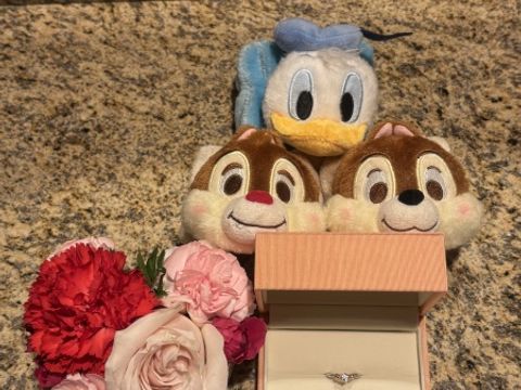 【ケイウノ ブライダル(K.UNO BRIDAL)の口コミ】 彼女の推しであるチップとデールがデザインされていてとてもかわいいです…