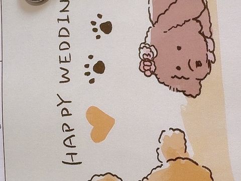 【アイプリモ(I-PRIMO)の口コミ】 さくらの花をモチーフに作成された指輪です。
上から見るとさくらの花びら…