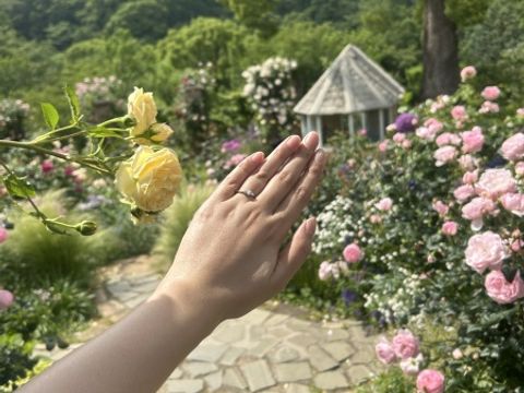 【銀座ダイヤモンドシライシの口コミ】 つけ心地とダイヤモンドの品質にこだわってセレクトしています。ダイヤモ…