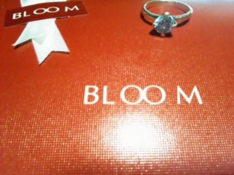 【BLOOM(ブルーム)の口コミ】 結婚を前提に話が進み一緒にアウトレットモールを見ていたら、光によって…
