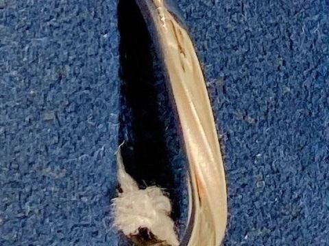 【4℃ BRIDAL(ヨンドシーブライダル)の口コミ】 男性用結婚指輪は、少しデザインを入れたいと思っていたので、適度につや…