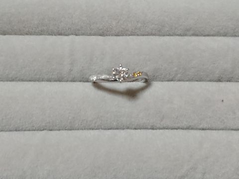 【ケイウノ ブライダル(K.UNO BRIDAL)の口コミ】 ディズニー系でオーダー出来るということでこのリングにした。最初からデ…