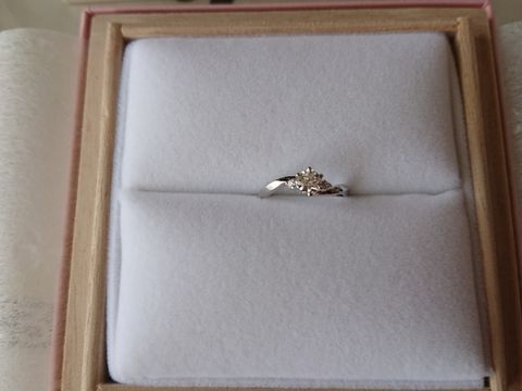 【IDEAL Plus fort(アイデアルプリュフォール)の口コミ】 ダイヤがすべてでした。結婚指輪と二重つけすることもあると聞き、どんな…