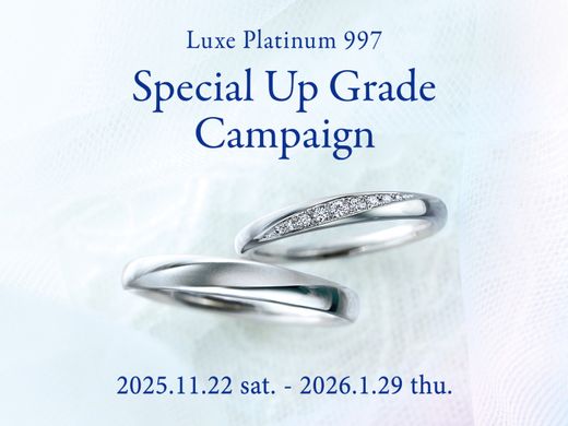 Special Up Grade Campaign