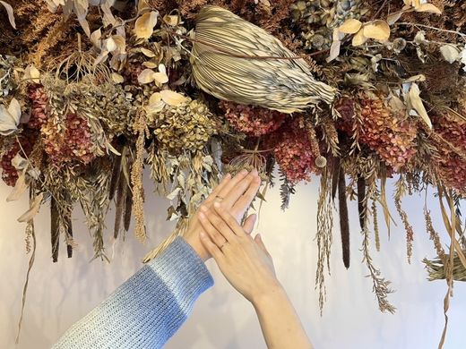 【ビジュピコ鳥取店】とても参考になりました。