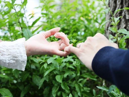 コンセプトにひかれた