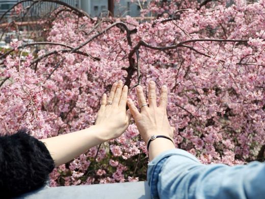 お守りをもらって