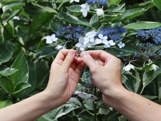 ネットで自分たちが求める指輪を探していた