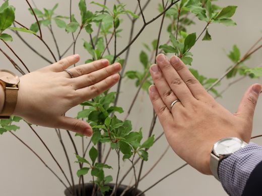 遠距離恋愛中に出雲大社を参拝し