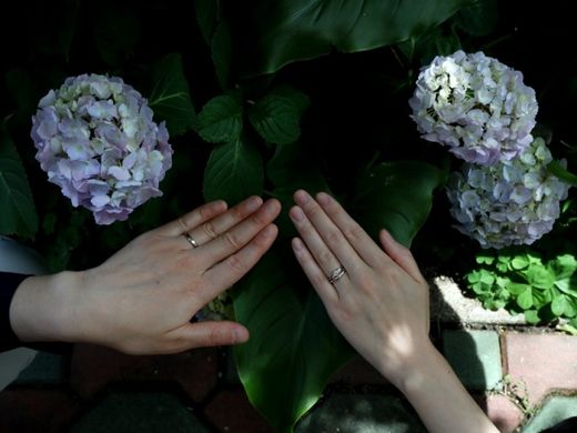 和風がコンセプトの指輪に惹かれて