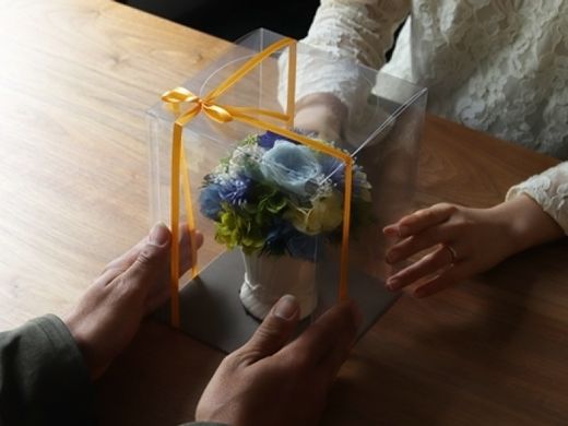 生まれ育った島根の