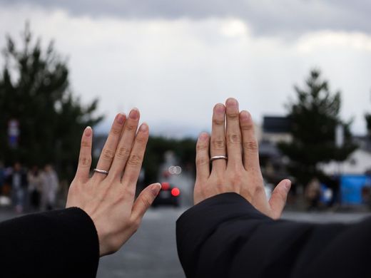 気に入りました。