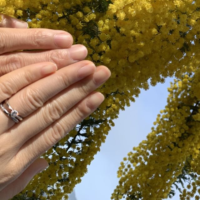 【アイプリモ(I-PRIMO)の口コミ】 お互いに好きなデザインを考えてお店に行き、スタッフの方に色々出してい…