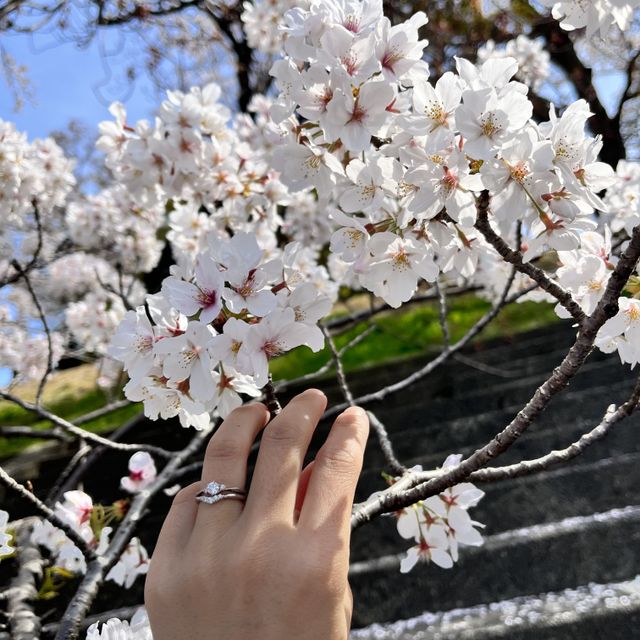 【AFFLUX(アフラックス)の口コミ】 婚約指輪は違うお店で購入していた為、重ね付けをするバランスや男女の指…