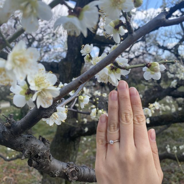 【銀座ダイヤモンドシライシの口コミ】 デザインが抱負なブランドでしたが、好みでもあった「婚約指輪らしい婚約…