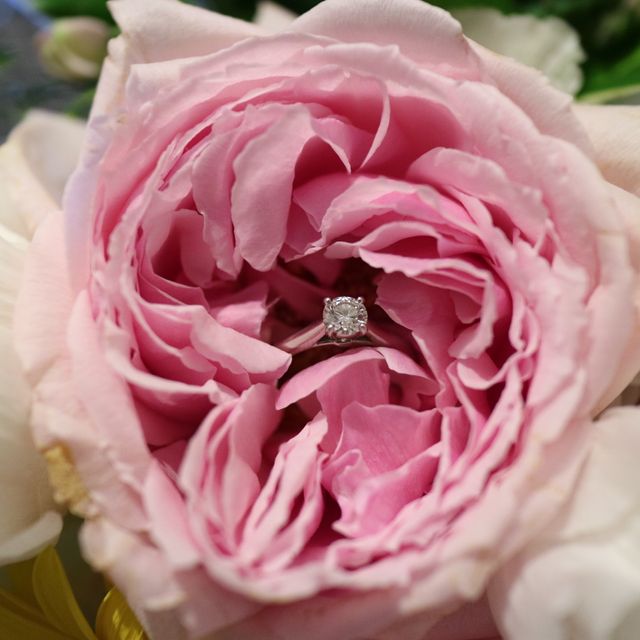 【カルティエ(Cartier)の口コミ】 シンプルだけど品のある指輪を探してました。
様々なお店で試しましたが、…