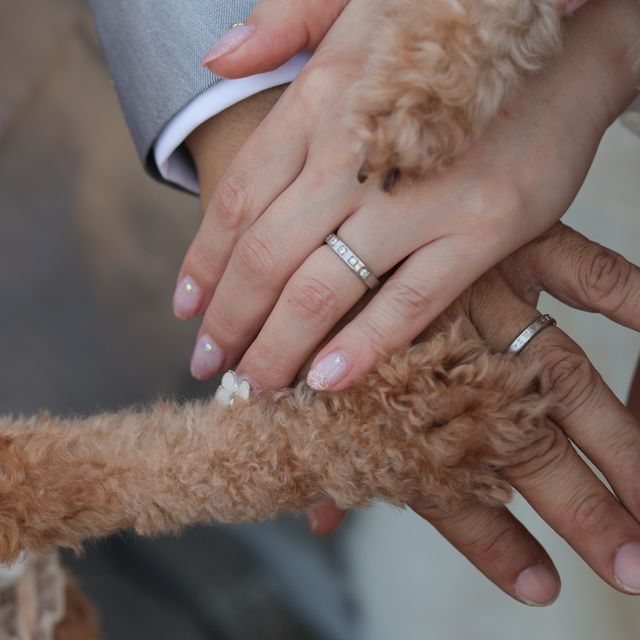 【ブルガリ(BVLGARI)の口コミ】 旦那が、BVLGARIが大好きで何回も試着した結果BVLGARIになりました。私の…