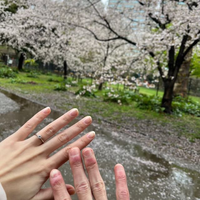 【ROYAL ASSCHER(ロイヤル・アッシャー)の口コミ】 指輪の主な決めては仕事場にしていっても、派手すぎず、悪目立ちしないデ…